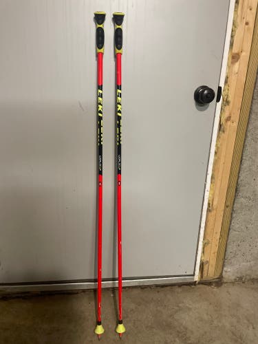 Used 48in (120cm) Racing World Cup - GS Ski Poles