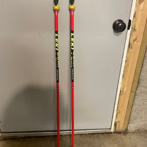 Used 46in (115cm) Racing World Cup Lite SL Ski Poles