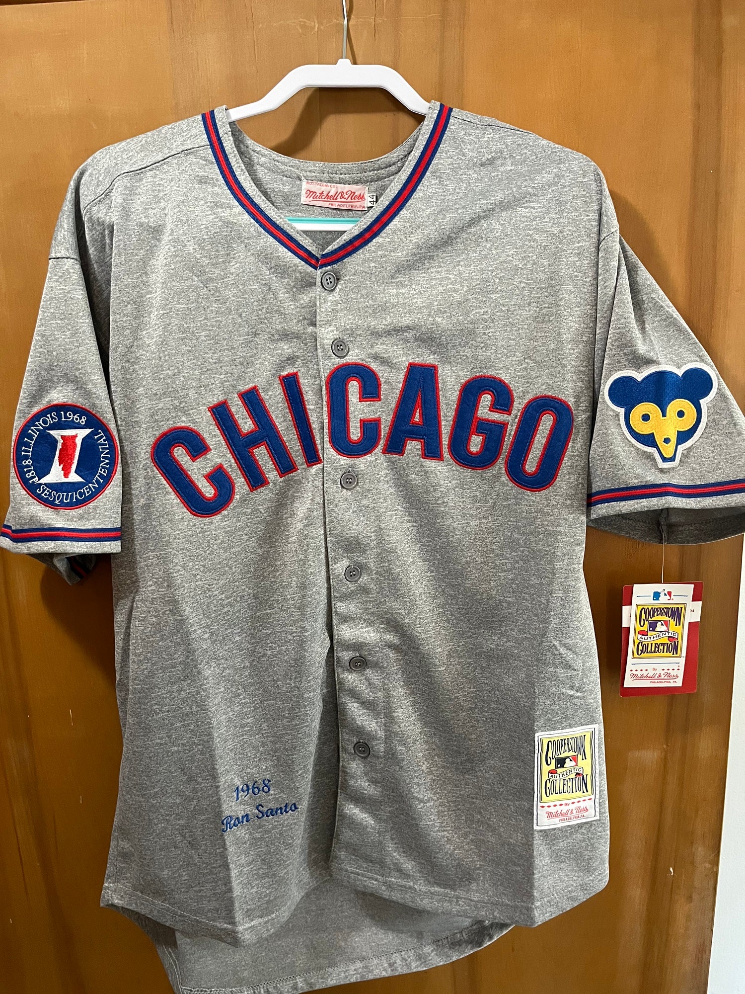 Men's Mitchell and Ness Chicago Cubs #10 Ron Santo Authentic Cream