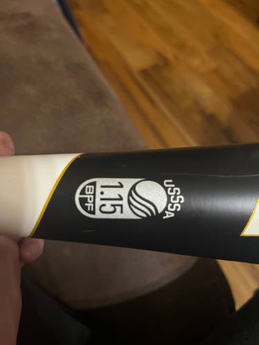 2021 Alloy (-10) 19 oz 29" Beast Speed Bat