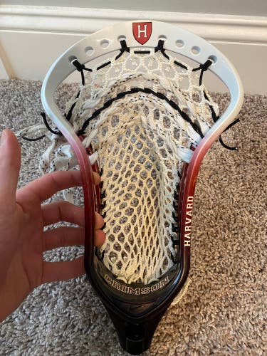 New Strung CEO Head