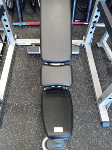 Life Fitness Utility Bench Used
