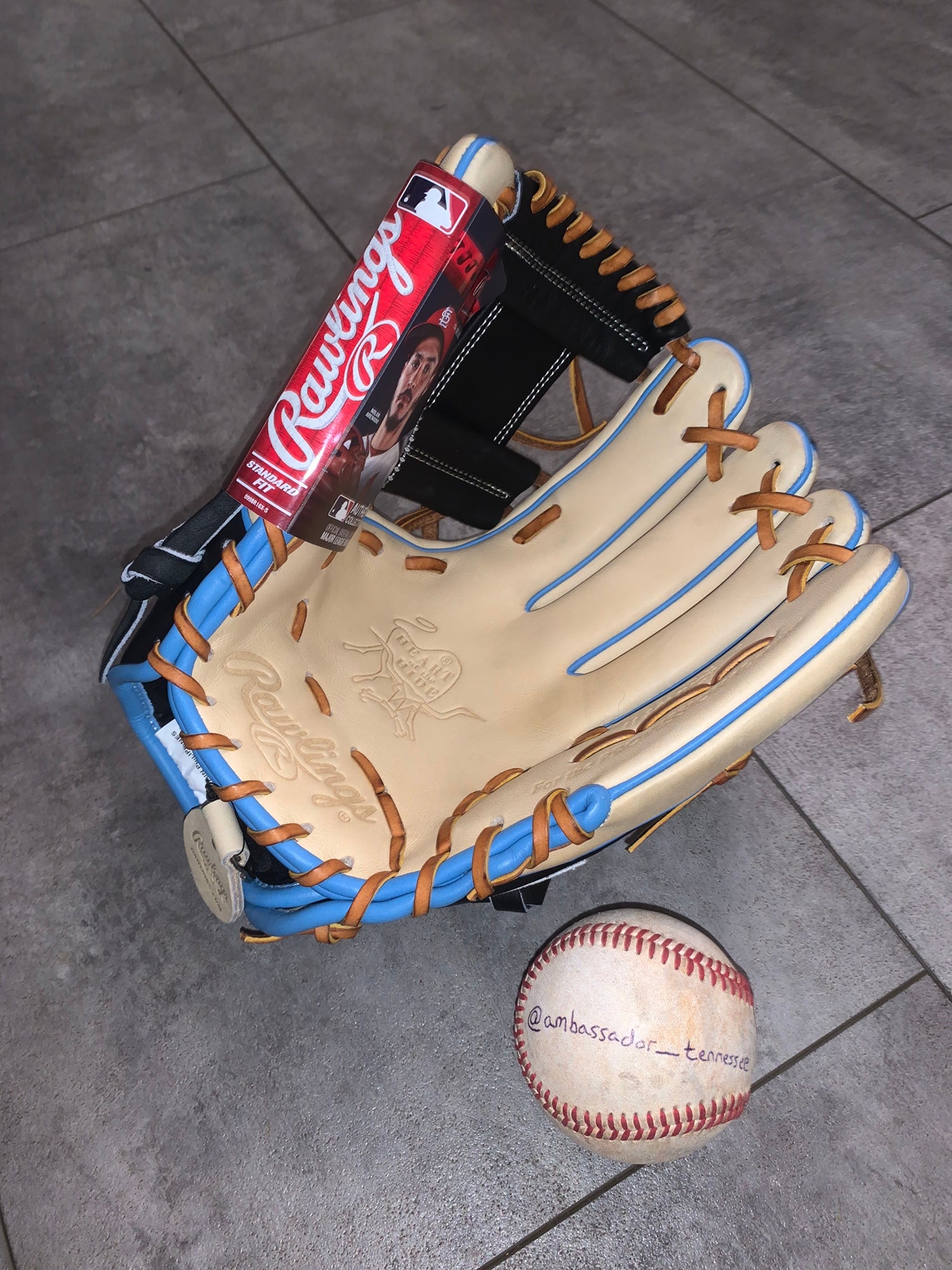 Rawlings Heart of the Hide vs Gloveworks 