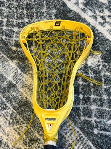 Used Gait Stick With An Apex Head And A String King Composite Shaft