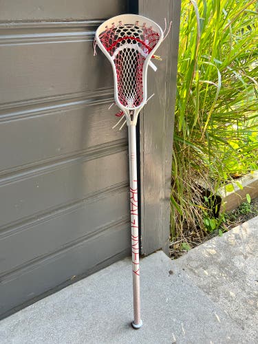 Epoch Z1 with Dragonfly Pro 11 Shaft (complete stick)