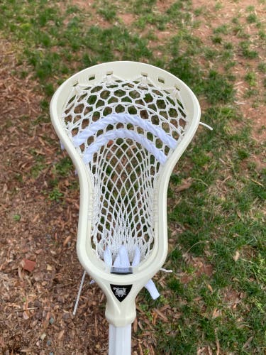ECD DNA W/ Vortex Mesh