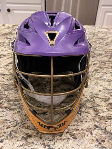 Cascade R Helmet Purple Gold