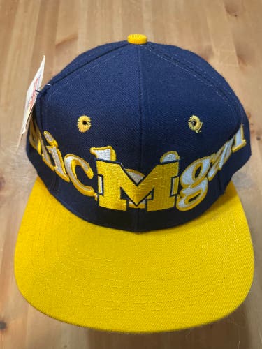 Michigan State Cap