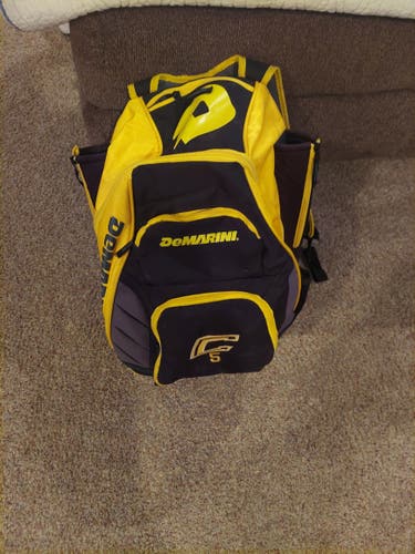 Used DeMarini Bat Bag