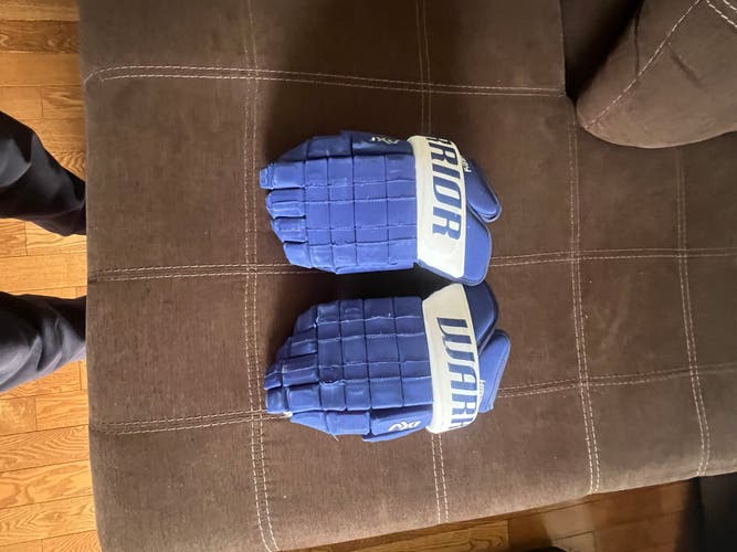 Warrior 15" Dynasty AX1 Gloves