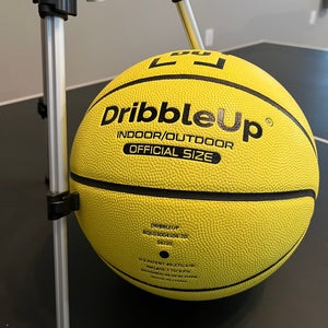 DribbleUp Training Basketball and Heads-Up Stand