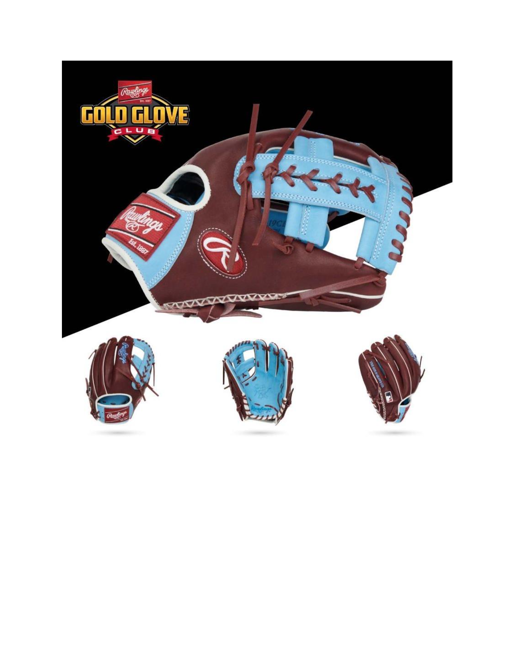 Rawlings May 2023 Gold Glove Club (GOTM) Heart of the Hide 33-inch Cat