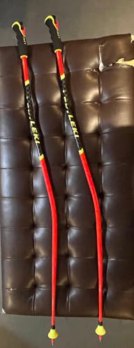 Used 50in (125cm) Racing World Cup - GS Ski Poles