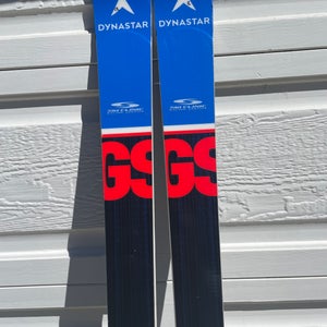 Used Dynastar 193 cm Racing Speed WC FIS GS Skis Without Bindings