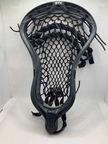 Stx stallion head