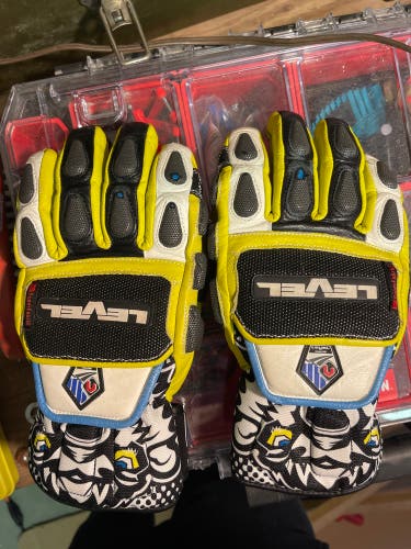 Level Ski Gloves