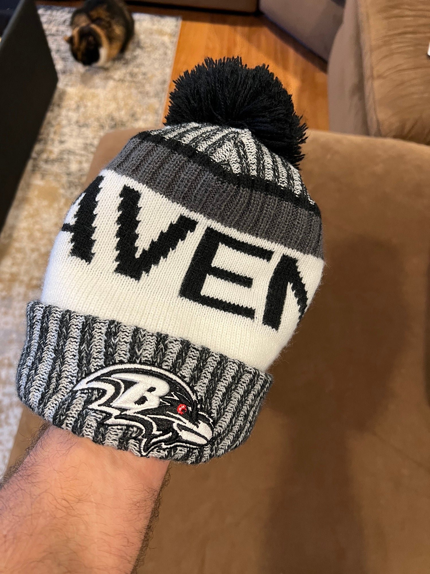 Baltimore Ravens Winter hat