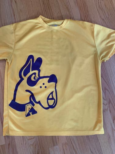 Albany lacrosse t shirt