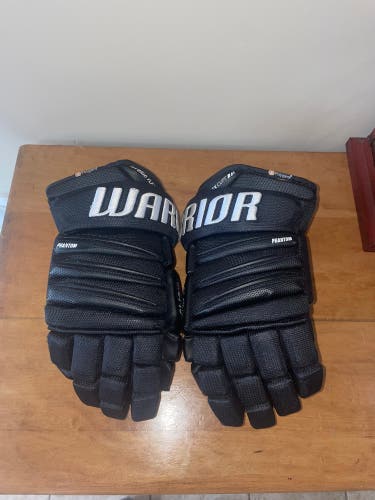 Warrior 13" Alpha QX Gloves