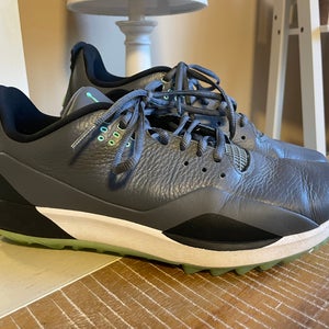 Men’s Jordan golf shoes