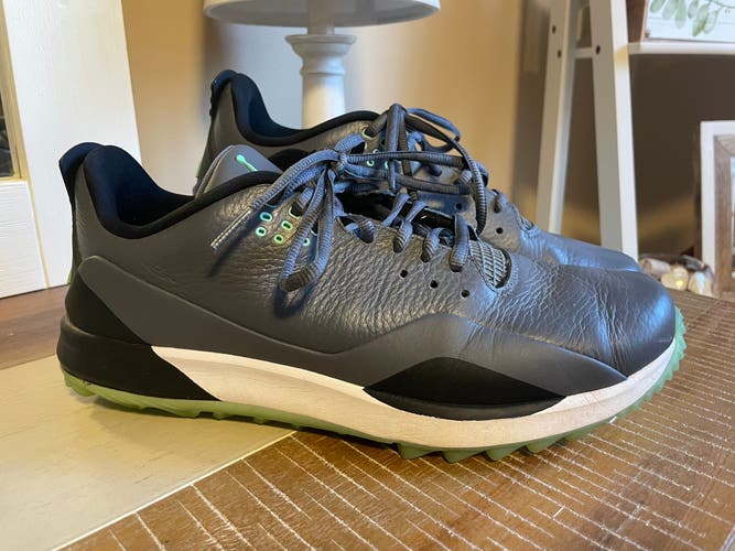 Men’s Jordan golf shoes