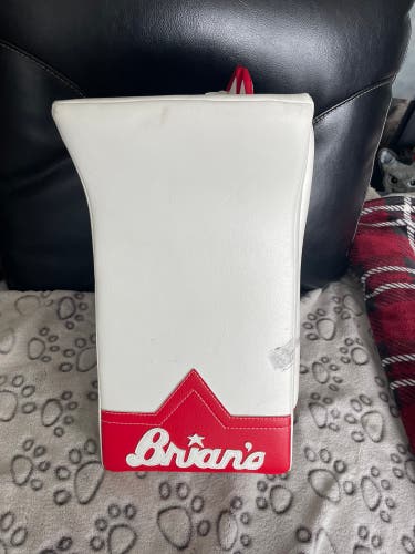 Brian’s goalie blocker