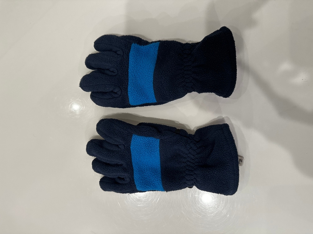 The Lands End Winter Gloves