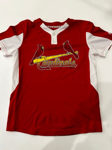 Cardinals Baseball Jersey (Youth M)