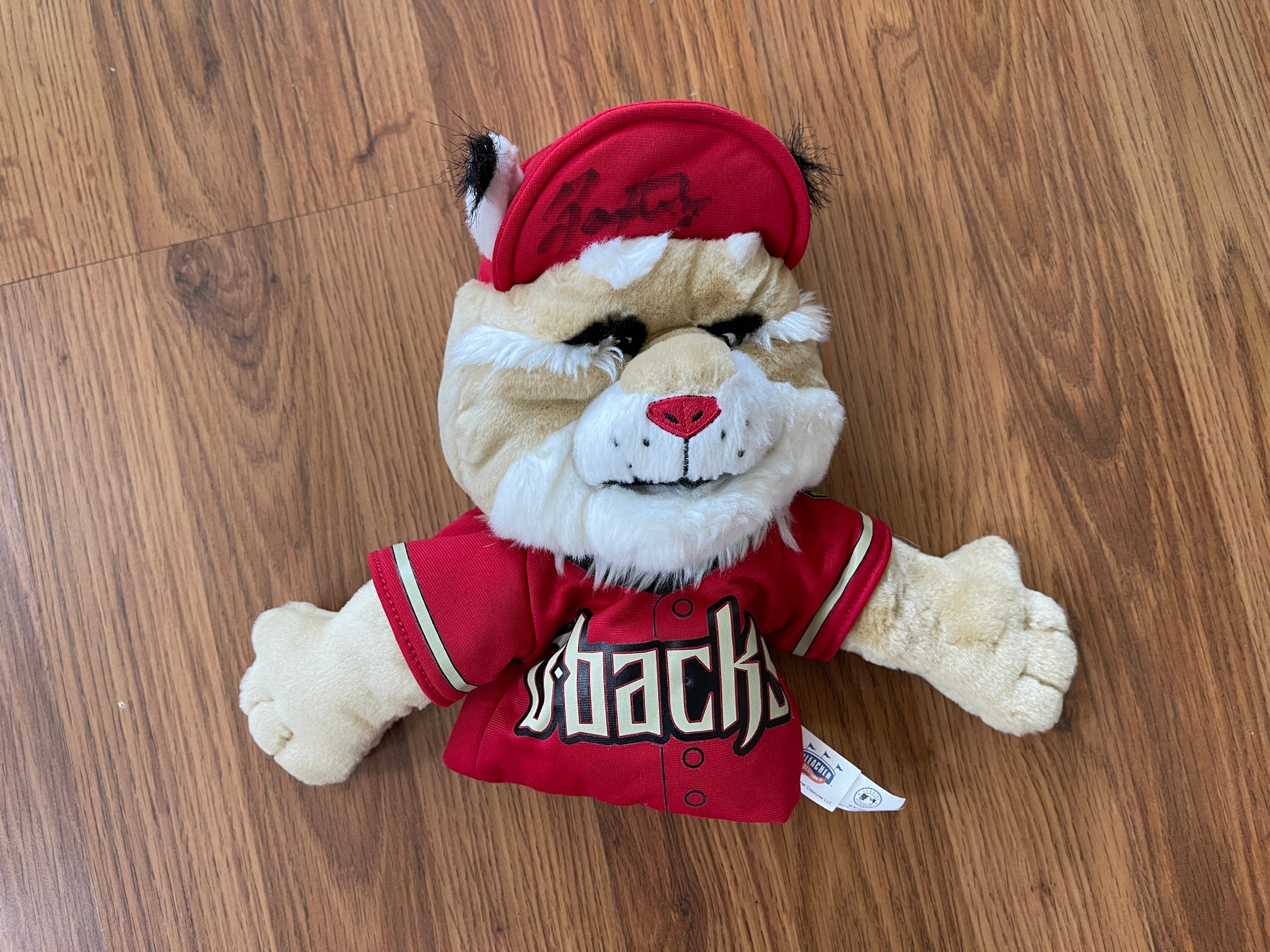 Baxter the Bobcat Arizona Diamondbacks Mini Baby Bro Bobblehead