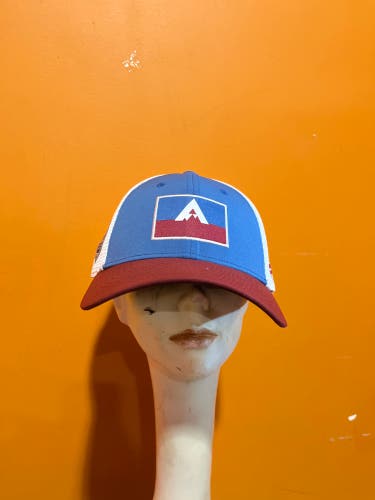 New Blue And White Fanatics Colorado Avalanche 2020 Stadium Series Hat