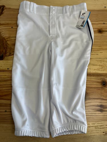 Champro knickers baseball pants