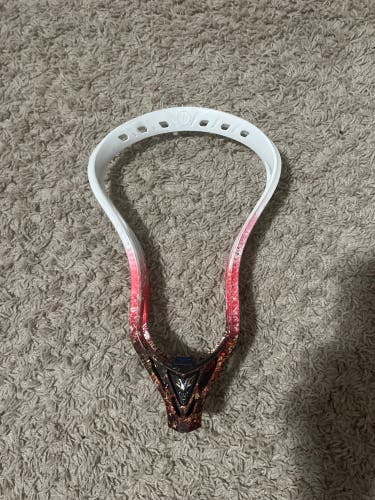 Warrior Evo 5 Head