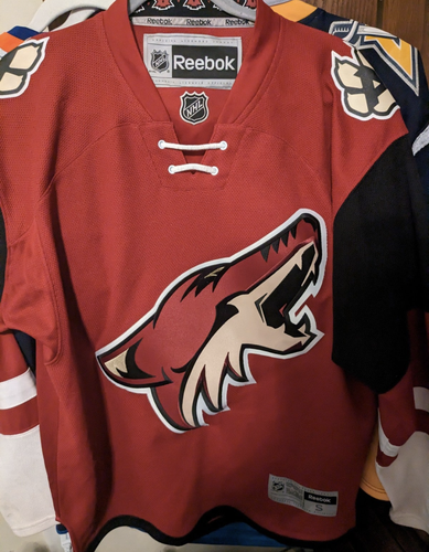 Arizona Coyotes Reebok Premier Rebrand Home Jersey