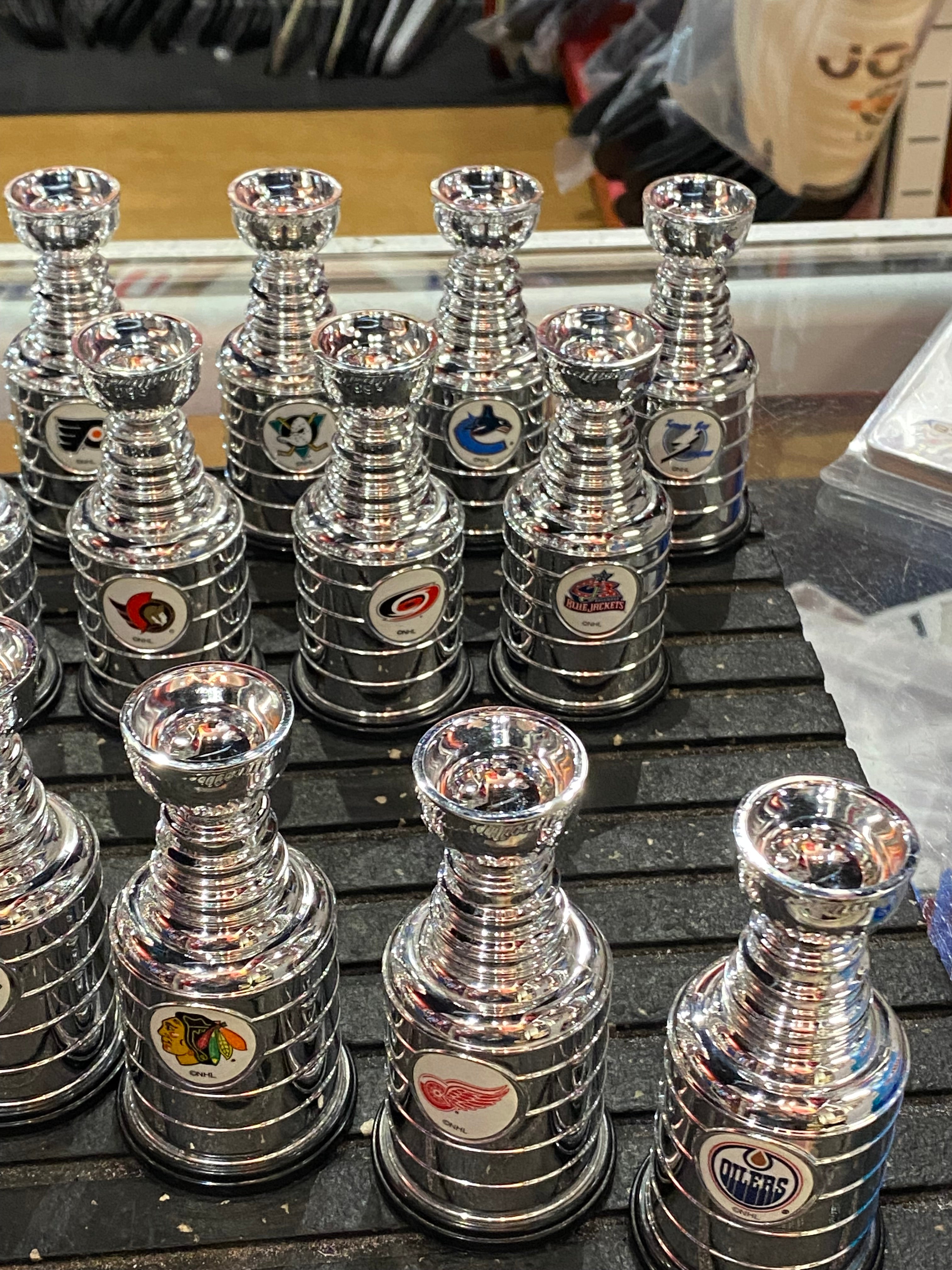 Mini Stanley cups (30)