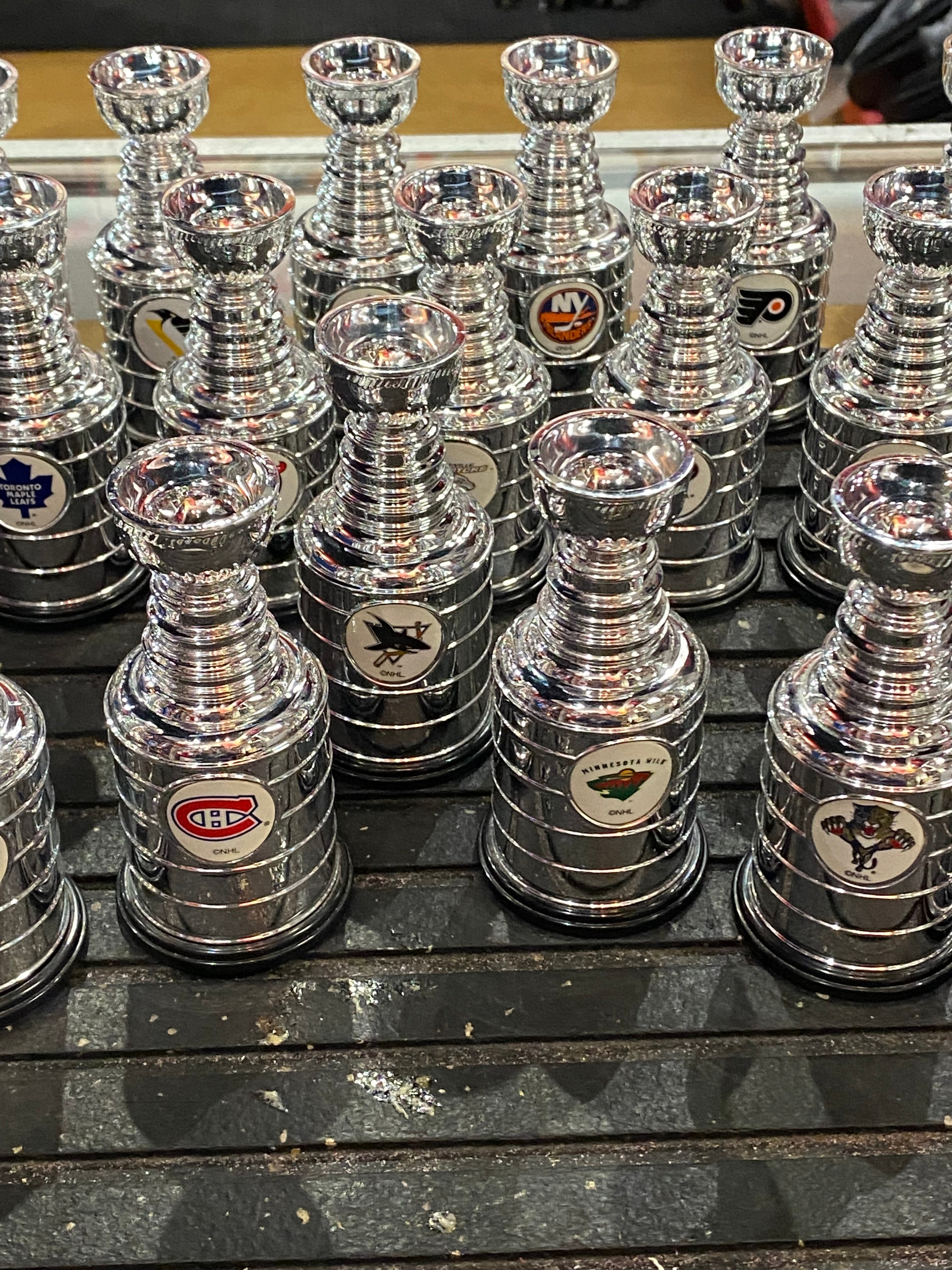 Mini Stanley cups (30)