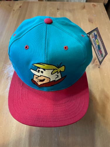 Barney  Toons Cap