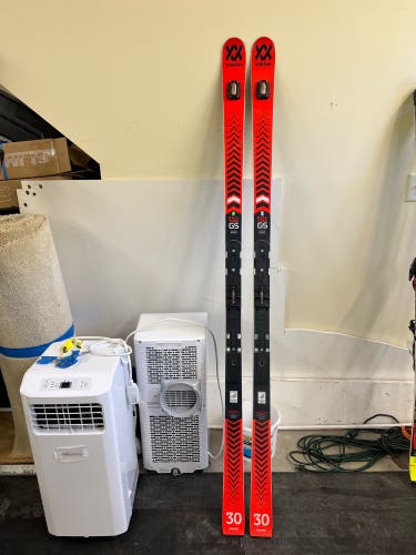 Men's 2022 193 cm Racetiger GS Skis
