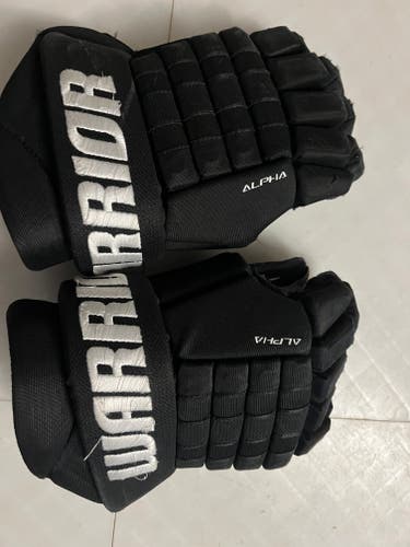Used Warrior Alpha FR Gloves 14"