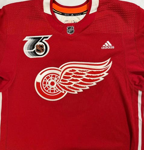 Detroit Redwings Practice Jersey MiC