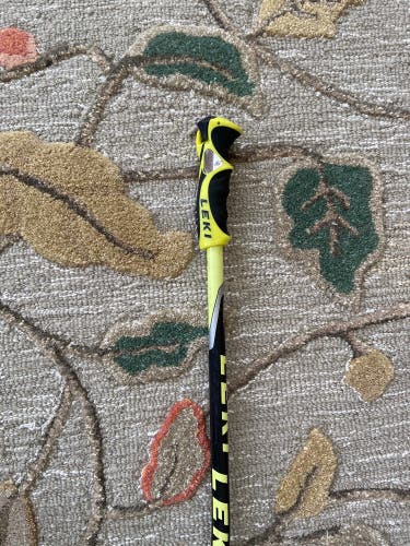 Used Leki Spare GS Pole 120cm