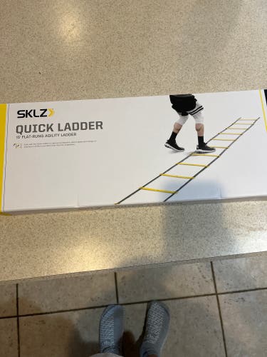 Skulls Quick Ladder