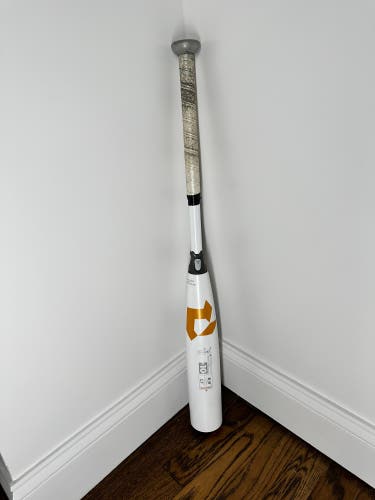 2022 Composite (-10) 19 oz 29" CF Bat