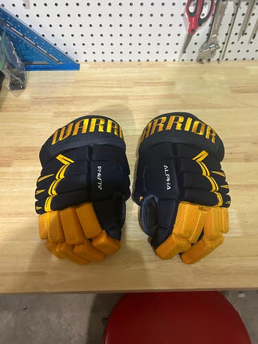 Warrior 13"  Alpha DX3 Gloves