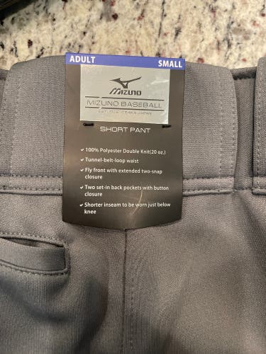 Gray New Small Mizuno Game Pants