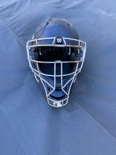 Wilson Catcher's Mask