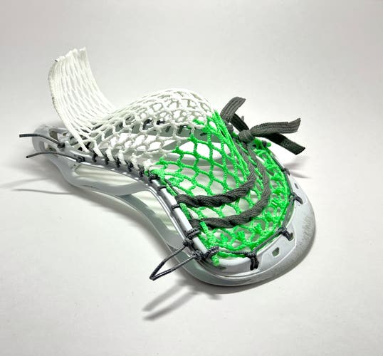 Used Strung Stallion Head