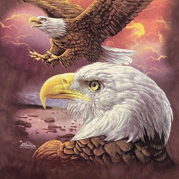 Bald Eagle T-Shirt