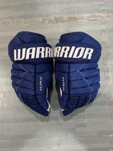 New Warrior 14" Alpha DX Gloves Royal Blue