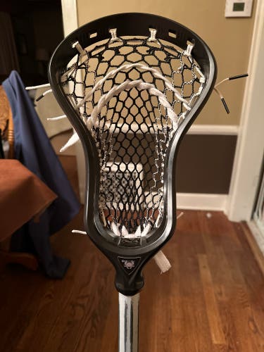 Ecd Dna Strung
