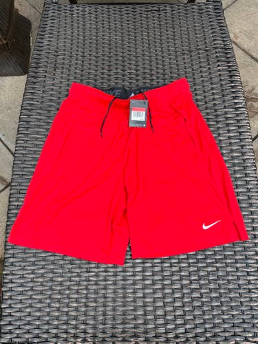 NIKE Dri-Fit Training Shorts (sz LG)